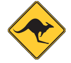 Cottesloe Skippycoin ICG